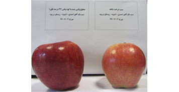 باغ سیب، اشنویه